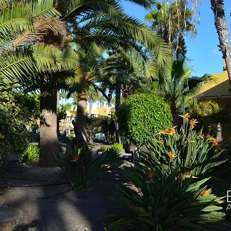 Lägenhet Eva's Atlantic Garden By B-rent Corralejo
